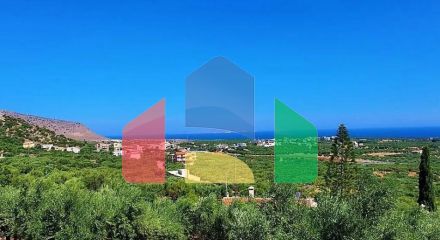 Продажа - Земельный участок 8146 m² на Крите