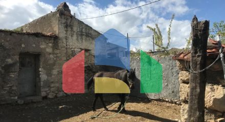 Продаж - Котедж 375 m² на Криті