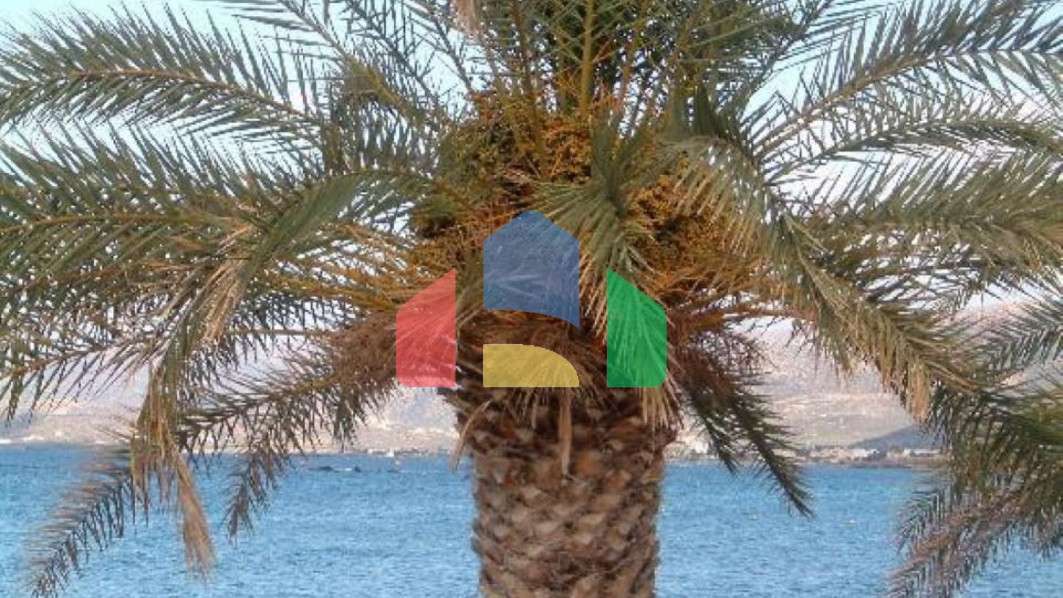 Продажа - Гостиница 1800 m² на Крите