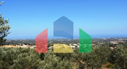 Продажа - Земельный участок 8556 m² на Крите