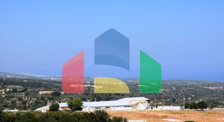 Продажа - Земельный участок 8556 m² на Крите