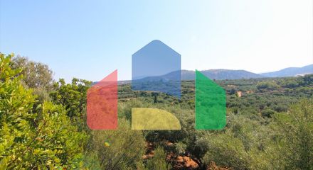 For Sale - Land 4000 m² in Crete