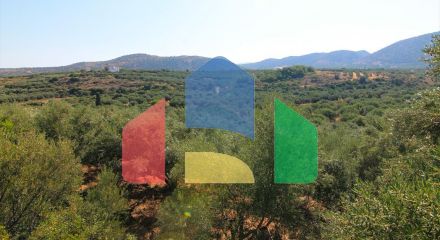 For Sale - Land 4000 m² in Crete