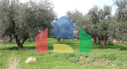 For Sale - Land 2456 m² in Crete