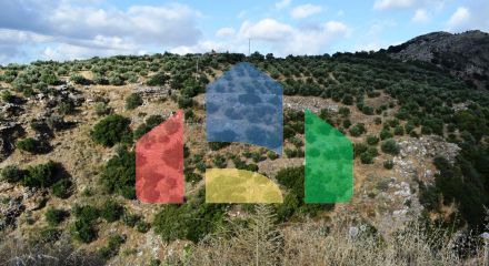 For Sale - Land 43000 m² in Crete