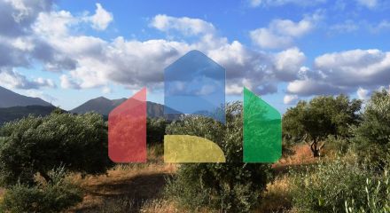For Sale - Land 43000 m² in Crete