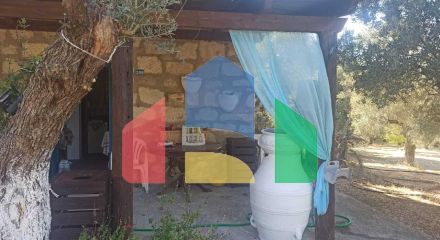 Продаж - Земельна ділянка 6945 m² на Криті