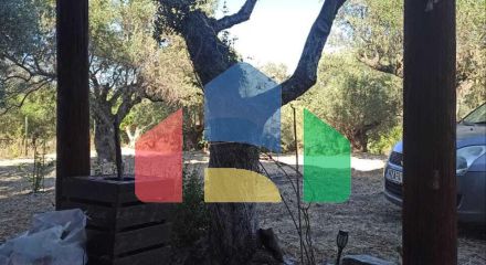 Продаж - Земельна ділянка 6945 m² на Криті