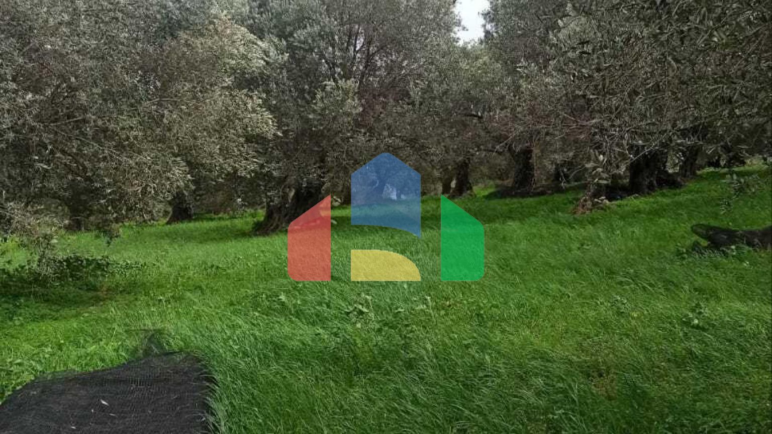 Продаж - Земельна ділянка 6945 m² на Криті