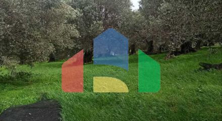 Продаж - Земельна ділянка 6945 m² на Криті