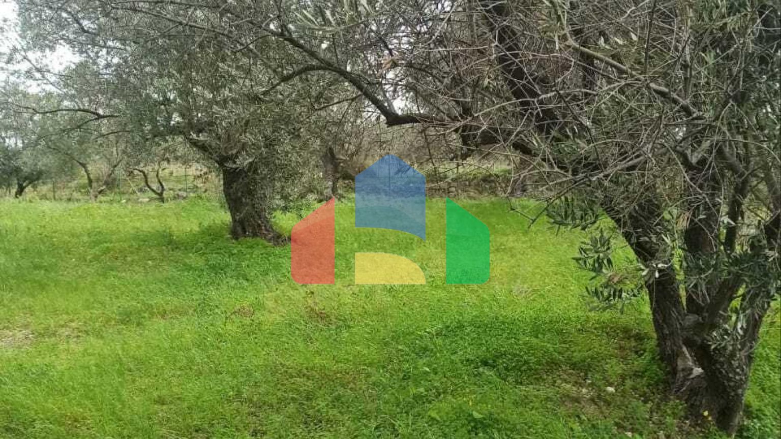 Продаж - Земельна ділянка 6945 m² на Криті