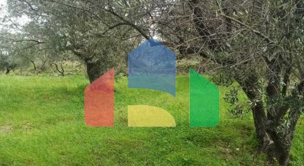 Продаж - Земельна ділянка 6945 m² на Криті