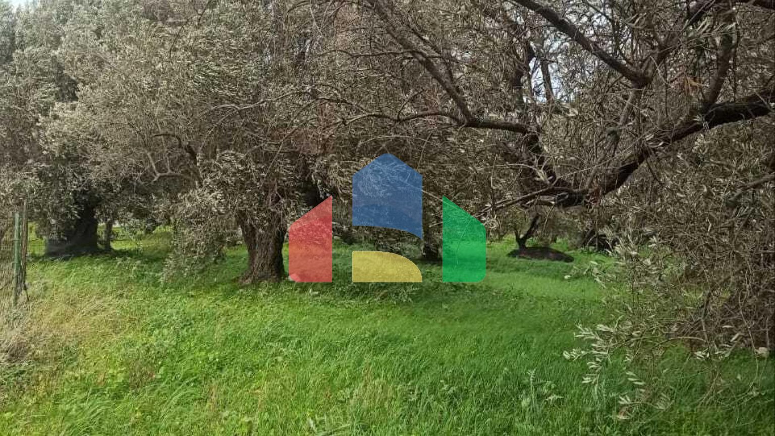 Продаж - Земельна ділянка 6945 m² на Криті