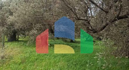 Продаж - Земельна ділянка 6945 m² на Криті