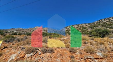 Продажа - Земельный участок 14549 m² на Крите