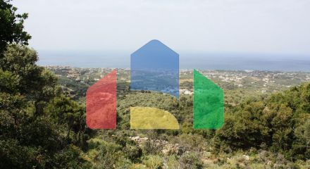 Продаж - Земельна ділянка 27000 m² на Криті