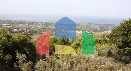 Продаж - Земельна ділянка 27000 m² на Криті