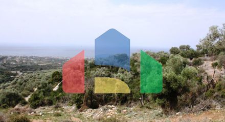 Продаж - Земельна ділянка 27000 m² на Криті