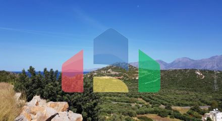 For Sale - Land 4000 m² in Crete