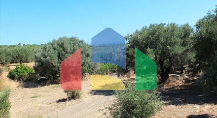 For Sale - Land 2009 m² in Crete
