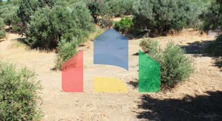 For Sale - Land 2009 m² in Crete