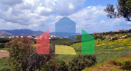 For Sale - Land 7000 m² in Crete