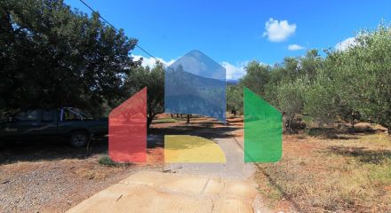 For Sale - Land 7800 m² in Crete