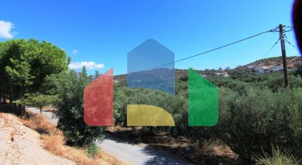 For Sale - Land 7800 m² in Crete