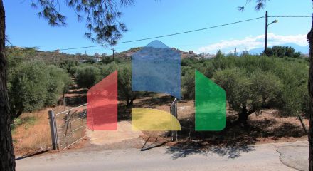 For Sale - Land 7800 m² in Crete