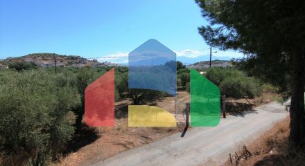 For Sale - Land 7800 m² in Crete