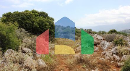 Продажа - Земельный участок 4300 m² на Крите Продажа - Земельный участок 4300 m² на Крите