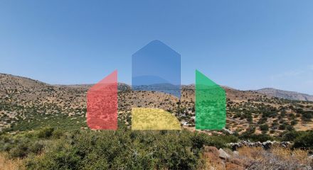For Sale - Land 2900 m² in Crete