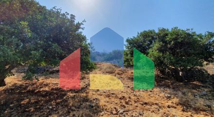 For Sale - Land 2900 m² in Crete