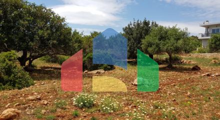 For Sale - Land 4542 m² in Crete
