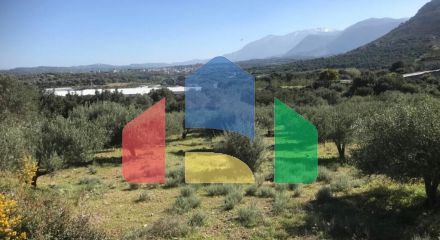 Продажа - Земельный участок 12400 m² на Крите