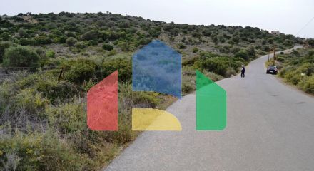 For Sale - Land 7250 m² in Crete