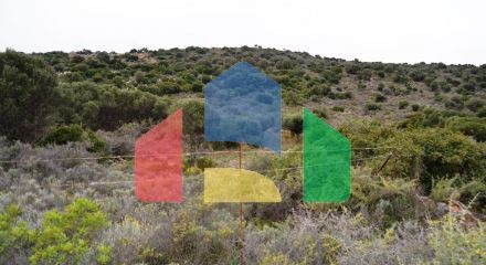 For Sale - Land 7250 m² in Crete