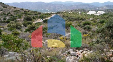 For Sale - Land 7250 m² in Crete