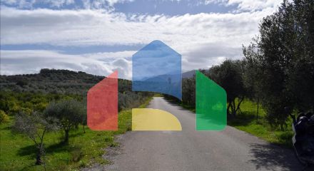 Продаж - Земельна ділянка 11000 m² на Криті