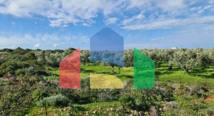 For Sale - Land 8131 m² in Crete