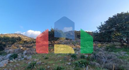 For Sale - Land 4300 m² in Crete