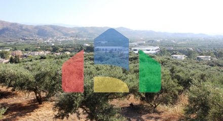 Продажа - Земельный участок 8100 m² на Крите