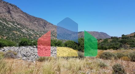 Продажа - Земельный участок 8000 m² на Крите