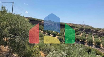 Продаж - Бізнес 286 m² на Криті