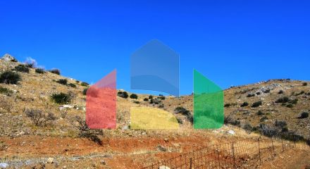 For Sale - Land 4137 m² in Crete