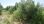 For Sale - Land 350 m² in Crete