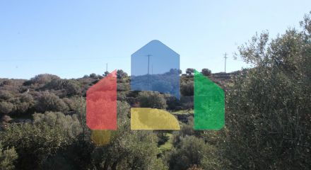 For Sale - Land 5300 m² in Crete