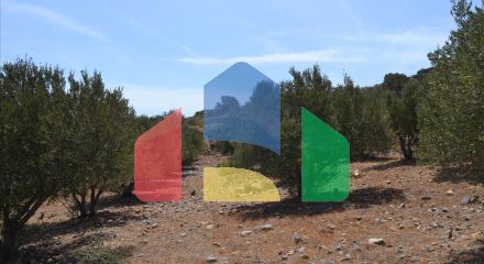 For Sale - Land 5850 m² in Crete