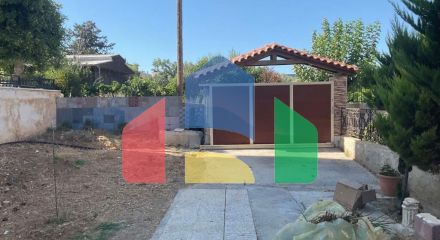 Продаж - Бізнес 670 m² на Криті