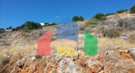 For Sale - Land 6975 m² in Crete